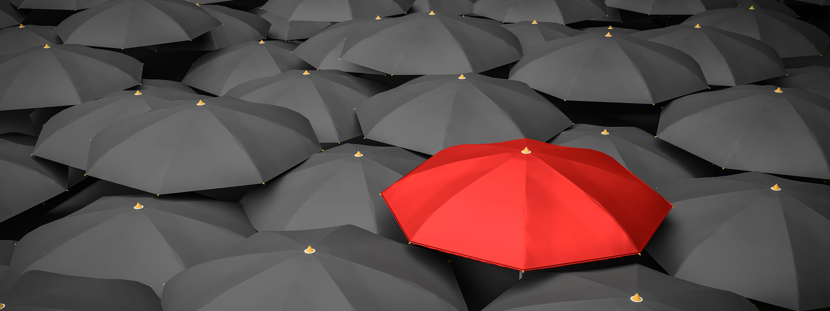 one red umbrella in a sea of black umbrellas