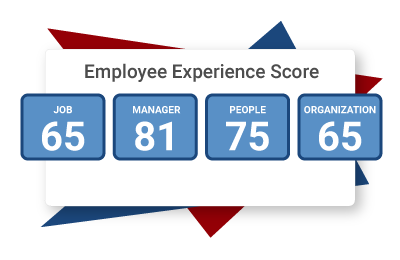 employee experience score